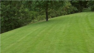 Sekání trávy, úklid a odvoz trávy